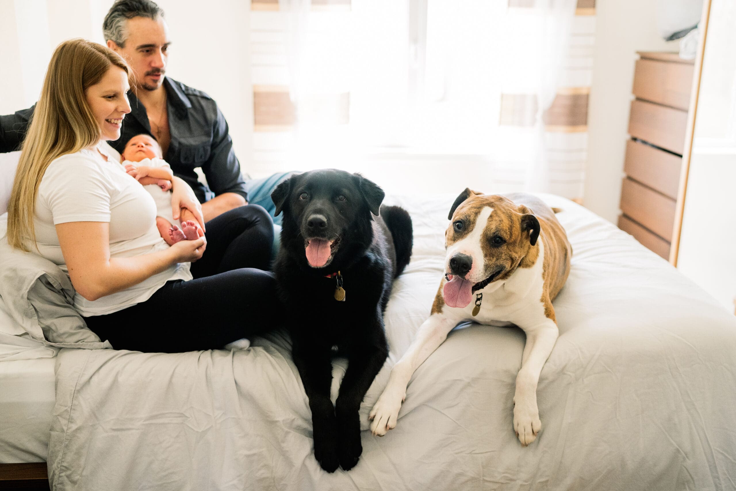 winnipeg maternity and newborn lifestyle photographer