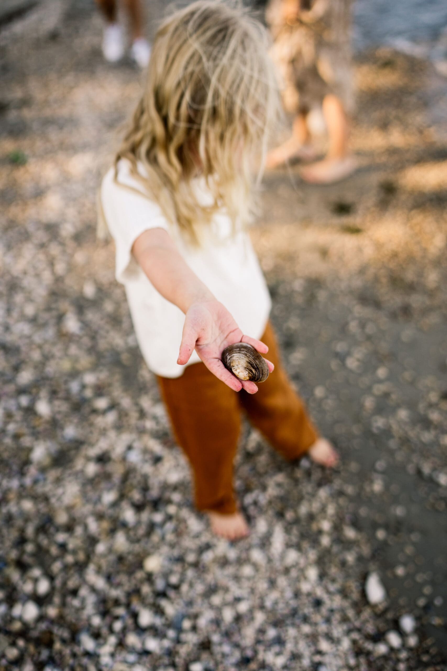 winnipeg lifestyle family photographer photographing a family at the beach at matlock