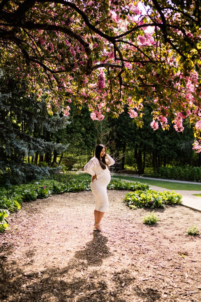 winnipeg cherry blossom maternity session at assiniboine park