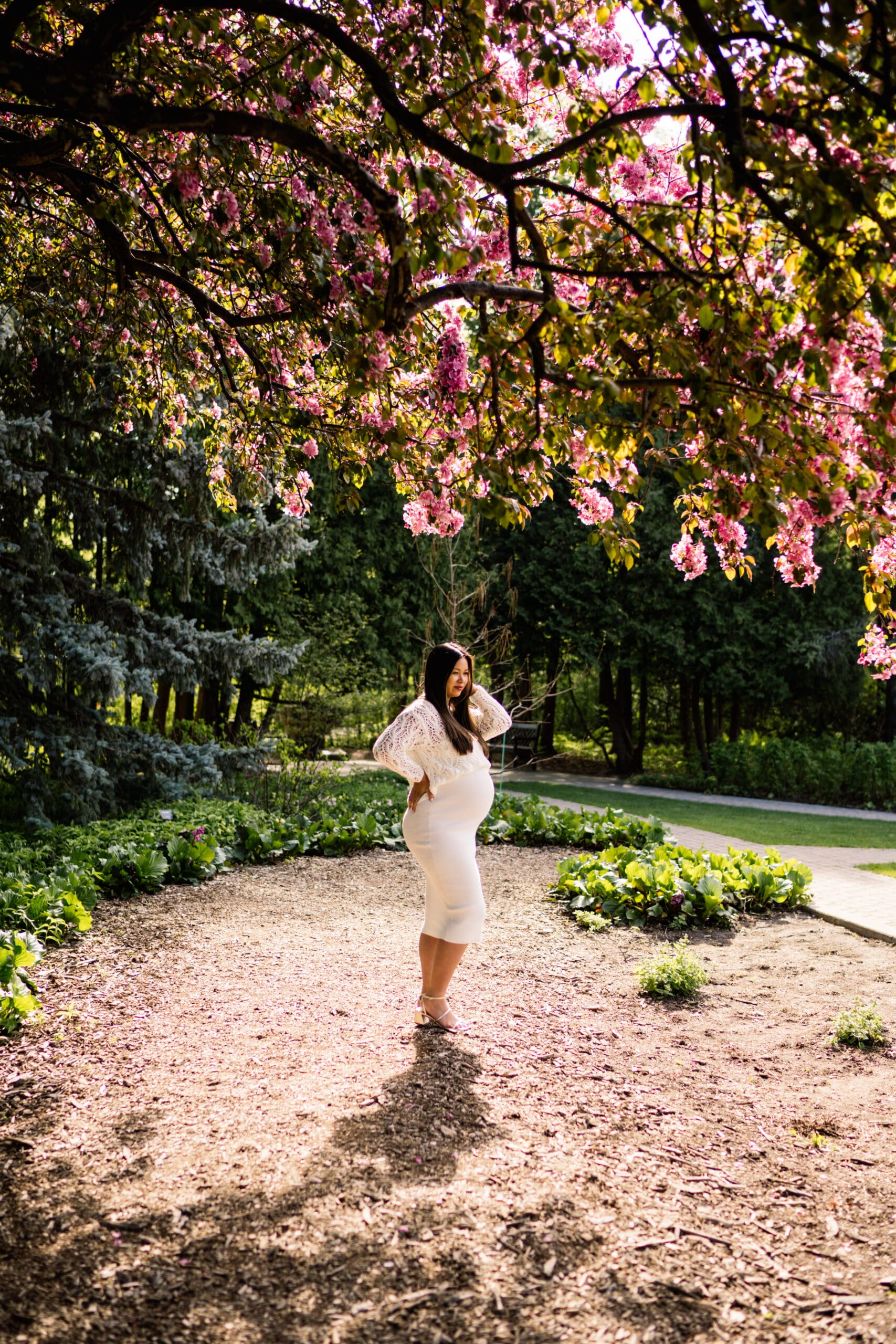 winnipeg cherry blossom maternity session at assiniboine park