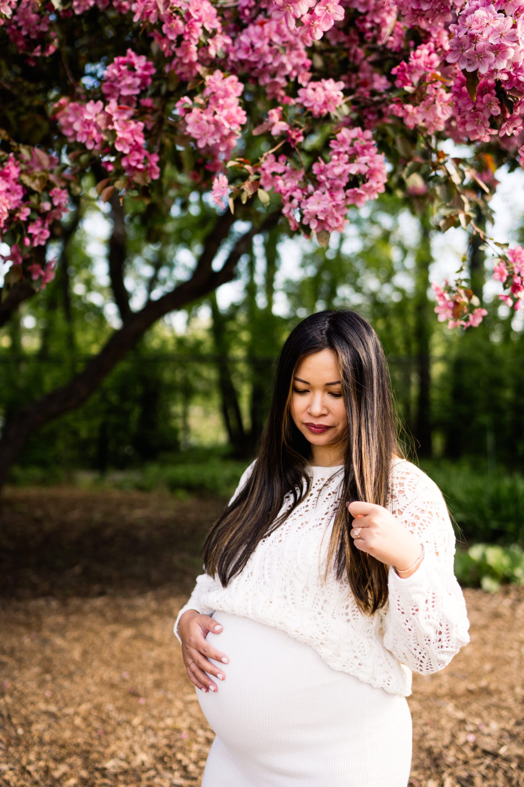 winnipeg cherry blossom maternity session at assiniboine park