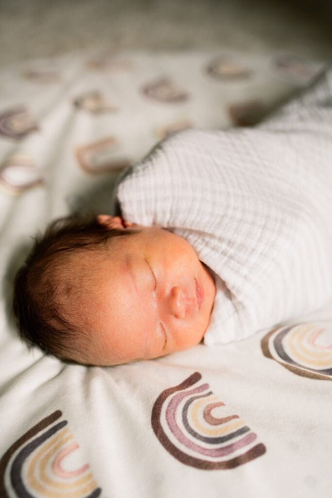 in home newborn photoshoot with a brand new baby with their cute dogs in their home