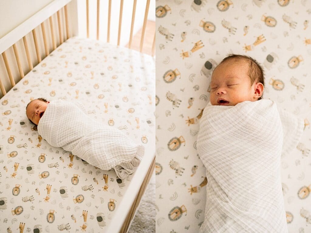 in home newborn photoshoot with a brand new baby with their cute dogs in their home