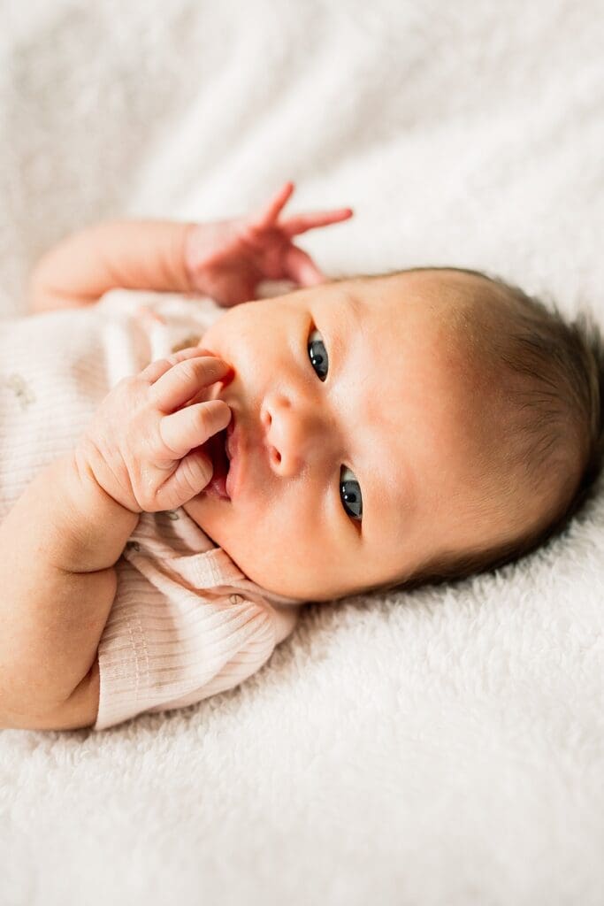 in home newborn photoshoot with a brand new baby with their cute dogs in their home