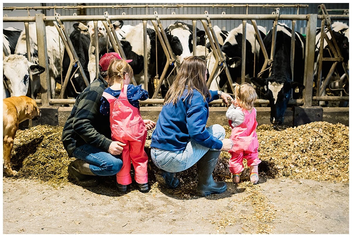 Lifestyle family photos with Cure family on their farm