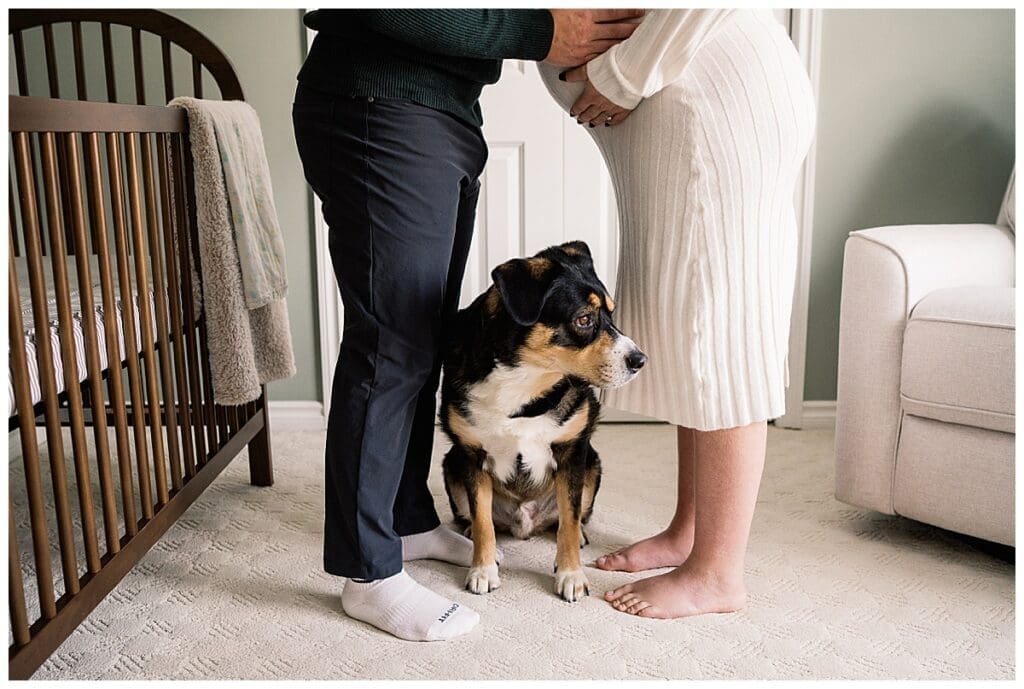 In home maternity session with Winnipeg Maternity Photograhper