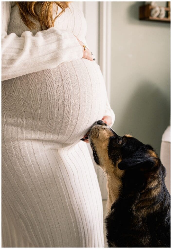 In home maternity session with Winnipeg Maternity Photograhper
